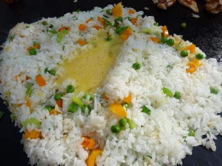 Hibachi dinner party at home with evo grill fried rice