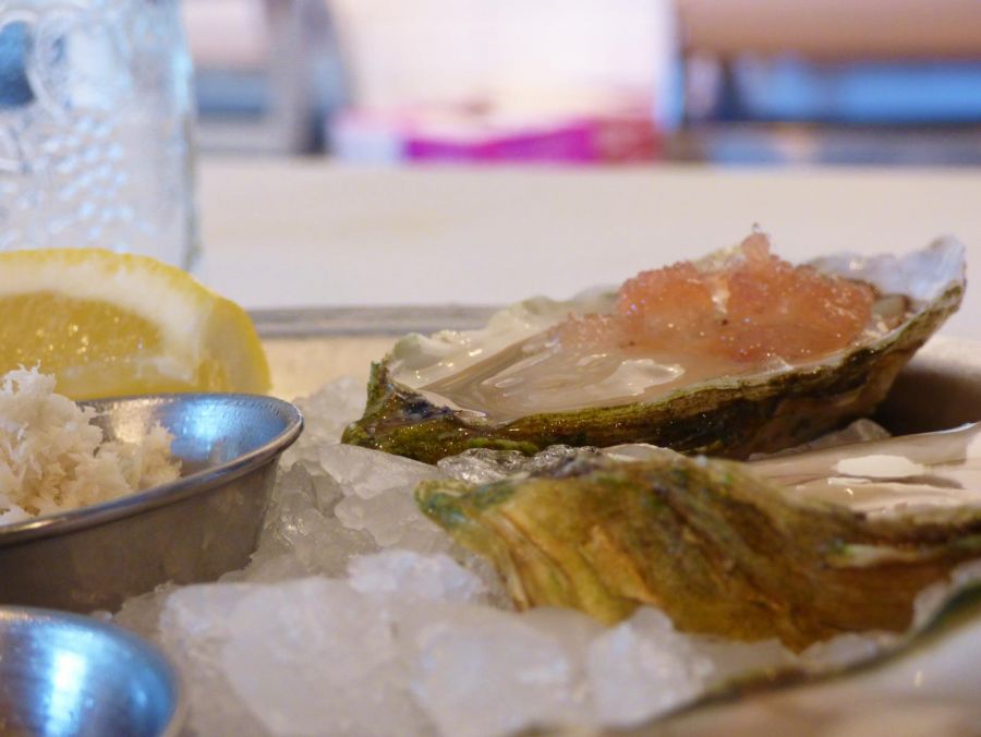 Where to Eat Oysters in Charleston, SC? outdoorLUX