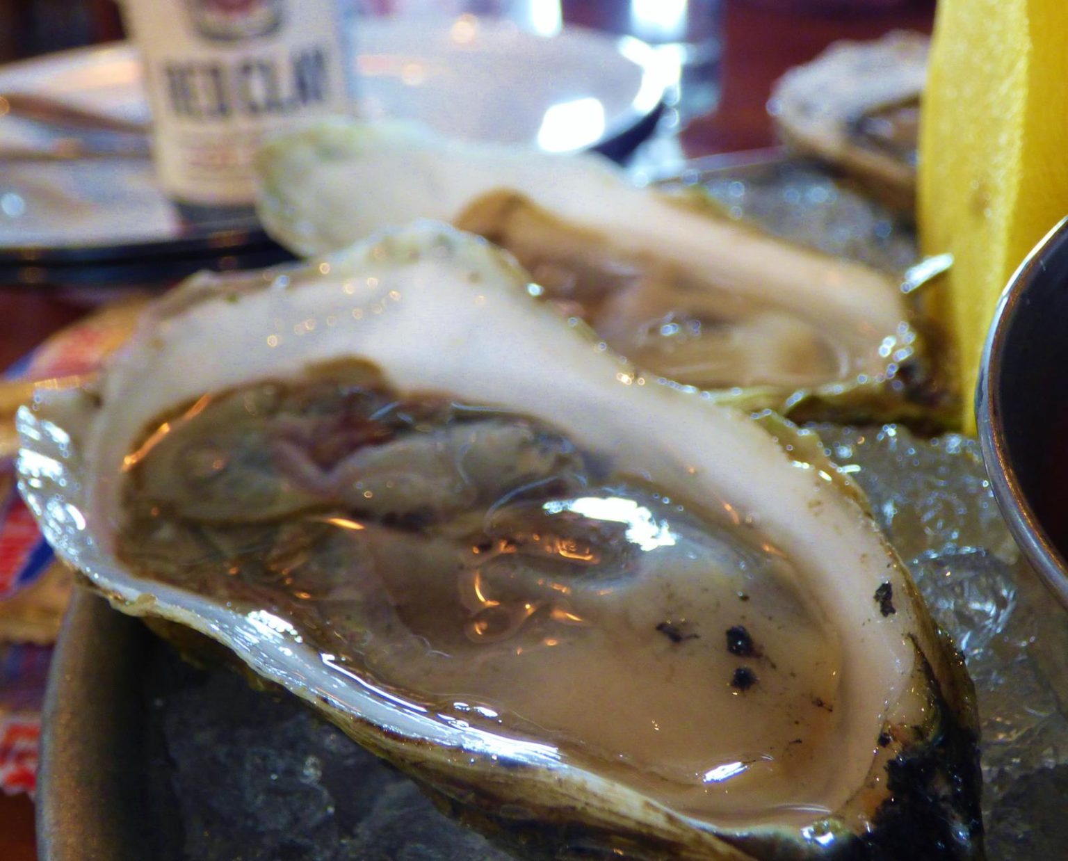Where to Eat Oysters in Charleston, SC? outdoorLUX